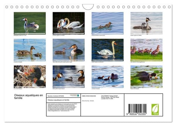 Produktbild: Oiseaux aquatiques en famille (Calendrier mural 2026 DIN A4 vertical), CALVENDO calendrier mensuel