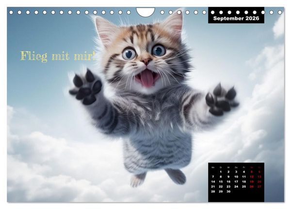 Produktbild: Katzen k&ouml;nnen alles, au&szlig;er traurig. (Wandkalender 2026 DIN A4 quer), CALVENDO Monatskalender
