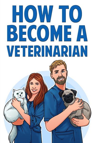 Produktbild: How to Become a Veterinarian