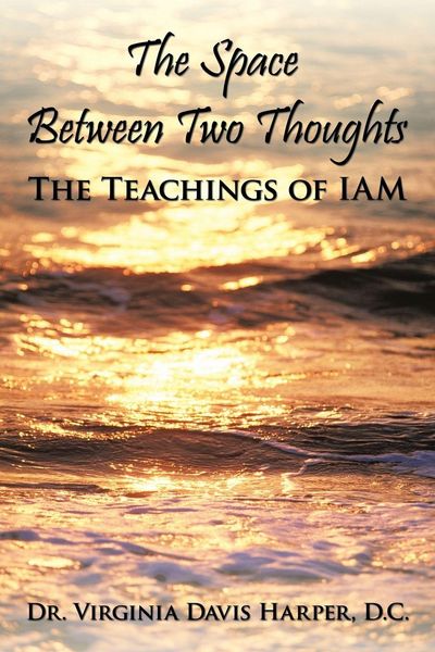Produktbild: The Space Between Two Thoughts