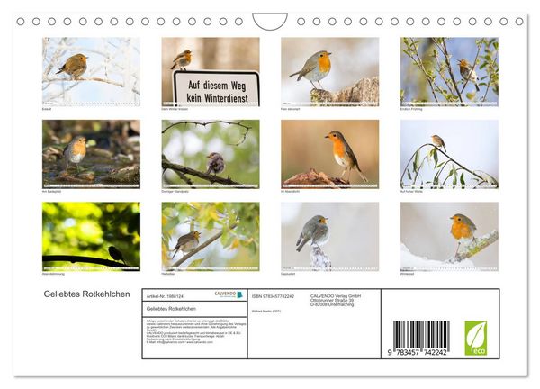Produktbild: Geliebtes Rotkehlchen (Wandkalender 2026 DIN A4 quer), CALVENDO Monatskalender