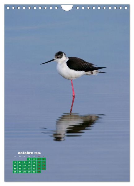 Produktbild: Lesbos l'&icirc;le aux oiseaux (Calendrier mural 2026 DIN A4 horizontal), CALVENDO calendrier mensuel