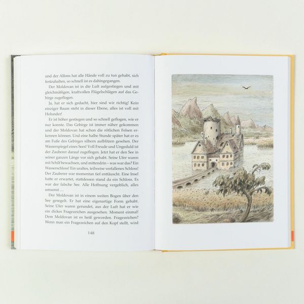 Produktbild: Der Rabe Alfons