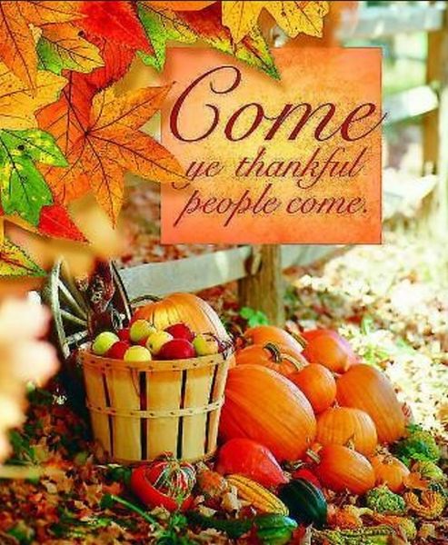 Produktbild: Come Thanksgiving Bulletin 2012, Large Size (Package of 50)