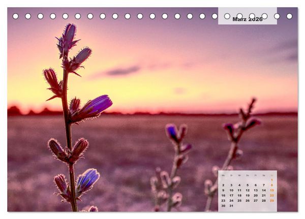 Produktbild: Niedersachsens Moorlandschaften - Das Pietzmoor, Schneverdingen (Tischkalender 2026 DIN A5 quer), CALVENDO Monatskalender