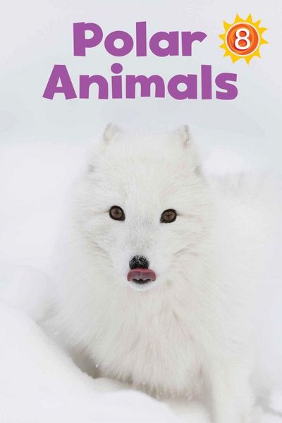 Produktbild: Polar Animals Big Book
