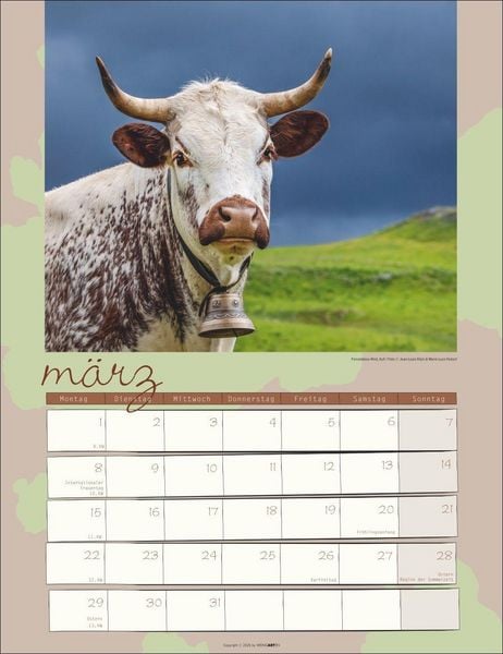 Produktbild: Kuh Kalender 2027