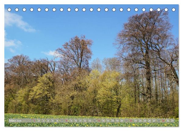 Produktbild: M&uuml;nsterland - Vielf&auml;ltige Sch&ouml;nheit (Tischkalender 2026 DIN A5 quer), CALVENDO Monatskalender