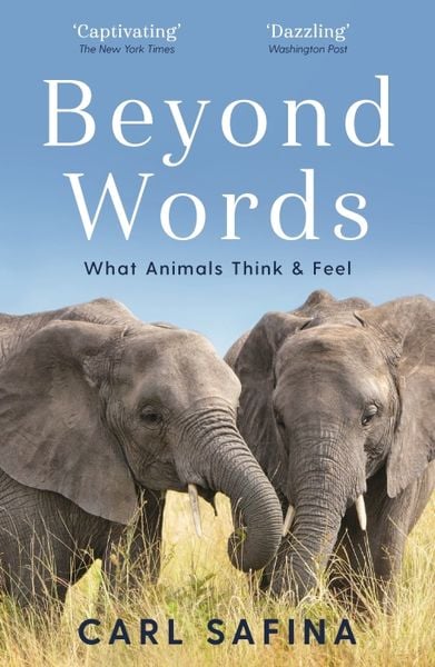 Produktbild: Beyond Words