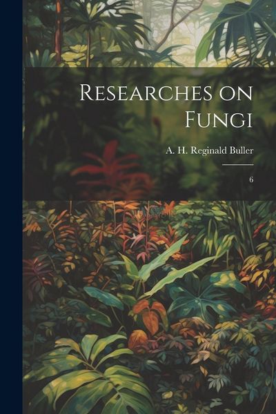 Produktbild: Researches on Fungi