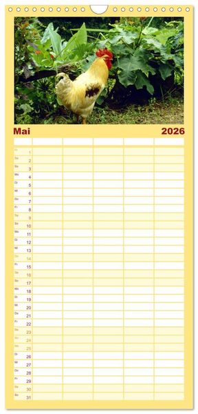Produktbild: Familienplaner 2026 - LANDLEBEN mit 5 Spalten (Wandkalender, 21 x 45 cm) CALVENDO
