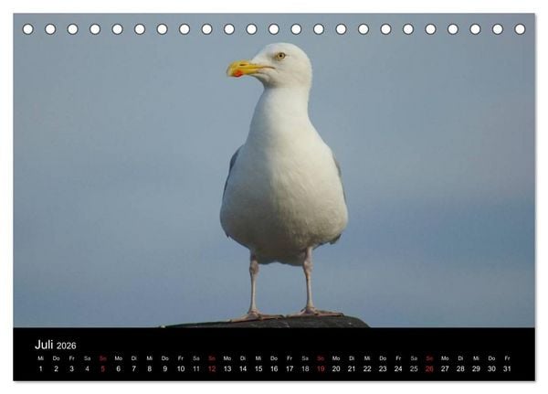 Produktbild: Cuxhaven an der Nordsee (Tischkalender 2026 DIN A5 quer), CALVENDO Monatskalender