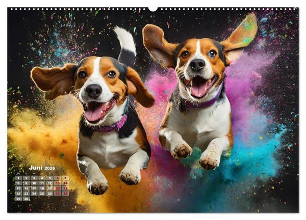 Produktbild: Holi Pulver - Doppelte Action (Wandkalender 2026 DIN A2 quer), CALVENDO Monatskalender