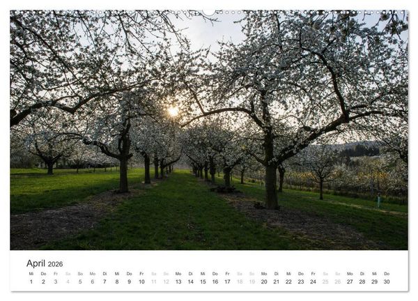 Produktbild: Du sch&ouml;nes Wiesbaden (Wandkalender 2026 DIN A2 quer), CALVENDO Monatskalender