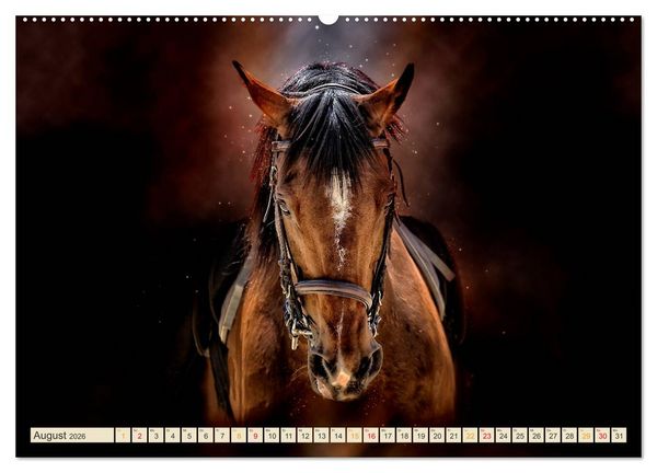 Produktbild: Eleganz und Sch&ouml;nheit - Pferde (hochwertiger Premium Wandkalender 2026 DIN A2 quer), Kunstdruck in Hochglanz