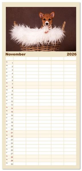 Produktbild: Familienplaner 2026 - Der Basenji mit 5 Spalten (Wandkalender, 21 x 45 cm) CALVENDO