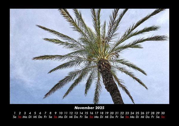 Produktbild: Palmentraum 2025 Fotokalender DIN A3
