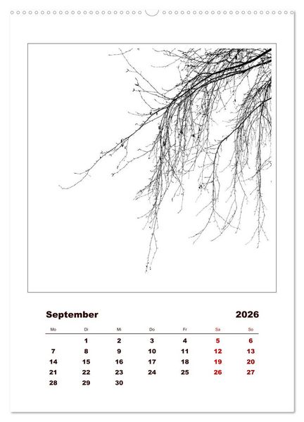 Produktbild: LignoGrafica - Muster und Strukturen der B&auml;ume (Wandkalender 2026 DIN A2 hoch), CALVENDO Monatskalender