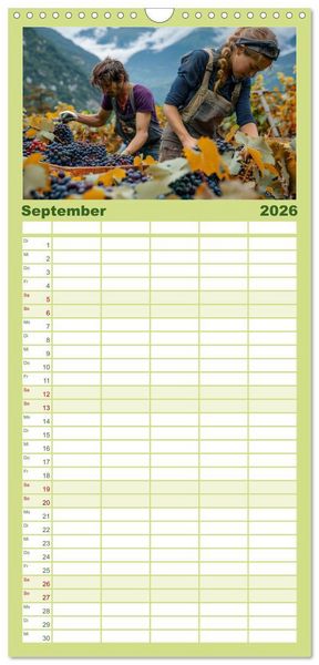 Produktbild: Familienplaner 2026 - Wein begeistert mit 5 Spalten (Wandkalender, 21 x 45 cm) CALVENDO