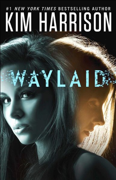 Produktbild: Waylaid