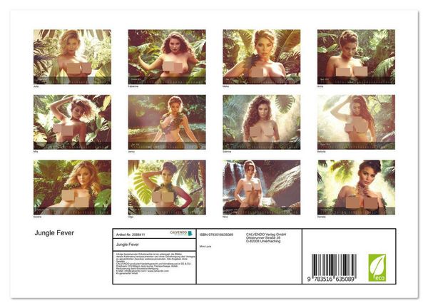 Produktbild: Jungle Fever (Wandkalender 2026 DIN A4 quer), CALVENDO Monatskalender