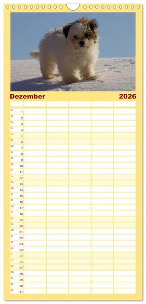 Produktbild: Familienplaner 2026 - Bolonka Zwetna mit 5 Spalten (Wandkalender, 21 x 45 cm) CALVENDO