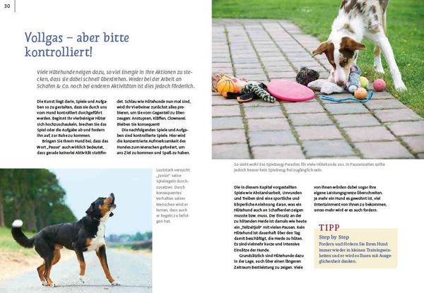 Produktbild: Spiele und Action f&uuml;r ausgeglichene H&uuml;tehunde