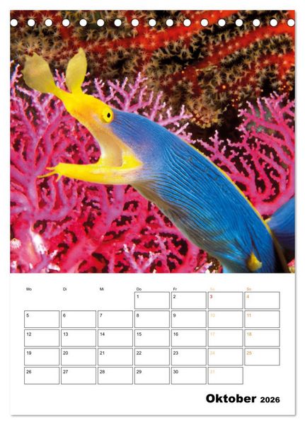 Produktbild: Farbrausch unter Wasser: Fische am Riff (Tischkalender 2026 DIN A5 hoch), CALVENDO Monatskalender
