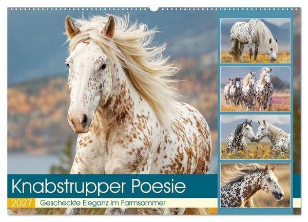 Produktbild: Knabstrupper Poesie. Gescheckte Eleganz im Farmsommer (Wandkalender 2027 DIN A2 quer), CALVENDO Monatskalender