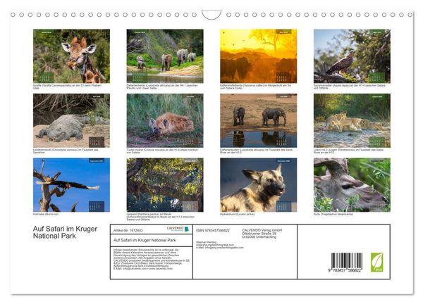 Produktbild: Auf Safari im Kruger National Park (Wandkalender 2026 DIN A3 quer), CALVENDO Monatskalender