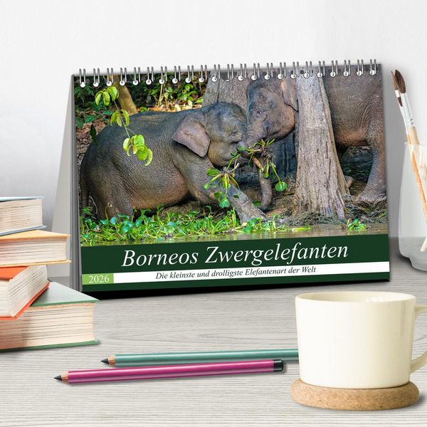 Produktbild: Borneos Zwergelefanten (Tischkalender 2026 DIN A5 quer), CALVENDO Monatskalender