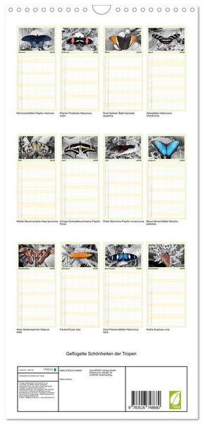Produktbild: Familienplaner 2026 - Gefl&uuml;gelte Sch&ouml;nheiten der Tropen mit 5 Spalten (Wandkalender, 21 x 45 cm) CALVENDO