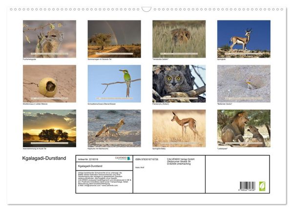 Produktbild: Kgalagadi-Durstland (Wandkalender 2026 DIN A2 quer), CALVENDO Monatskalender