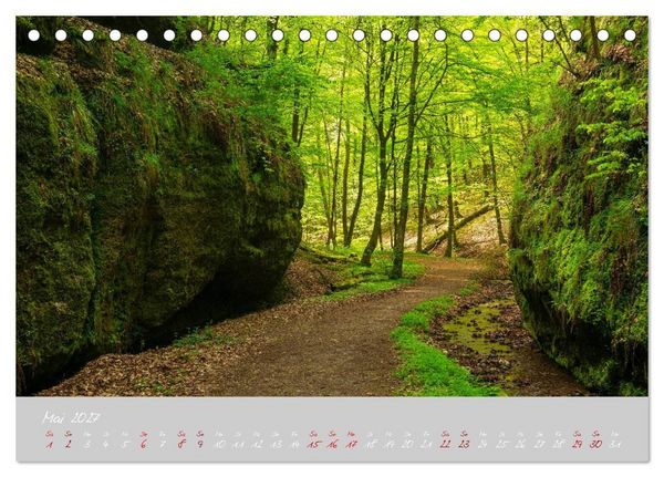 Produktbild: Th&uuml;ringer Wald Das Gr&uuml;ne Herz Deutschlands (Tischkalender 2027 DIN A5 quer), CALVENDO Monatskalender