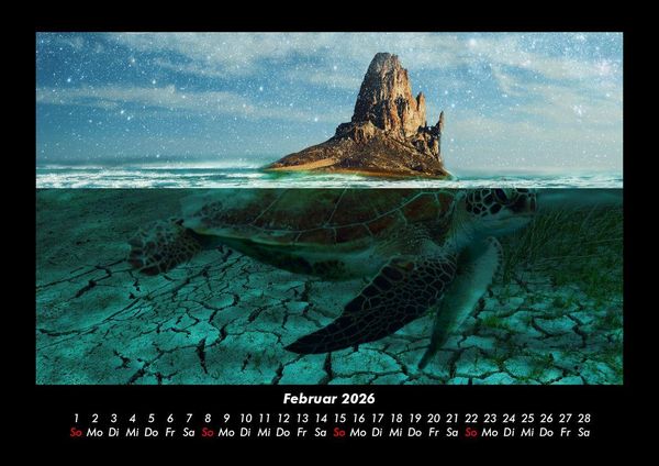 Produktbild: Schildkr&ouml;tenzauber 2026 Fotokalender DIN A3