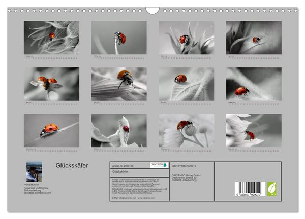 Produktbild: Gl&uuml;cksk&auml;fer (Wandkalender 2026 DIN A3 quer), CALVENDO Monatskalender