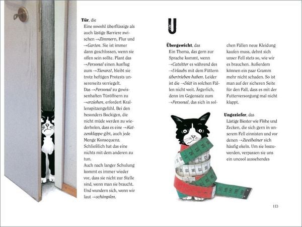 Produktbild: Wie wir Katzen die Welt sehen