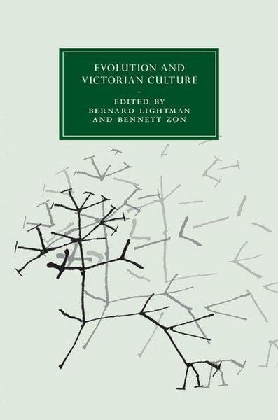 Produktbild: Evolution and Victorian Culture
