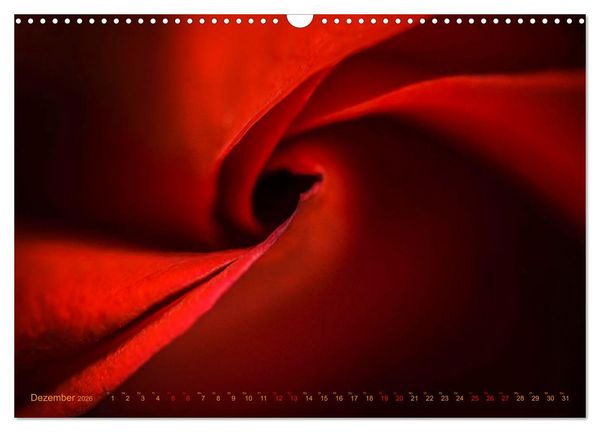 Produktbild: DEEP INSIDE - Bl&uuml;tenmakros (Wandkalender 2026 DIN A3 quer), CALVENDO Monatskalender