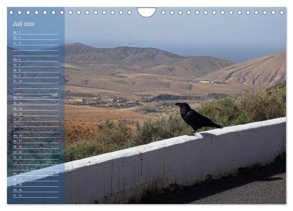 Produktbild: Fuerteventura in Ruhe (Wandkalender 2026 DIN A4 quer), CALVENDO Monatskalender