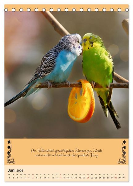 Produktbild: Buntes Tierleben (Tischkalender 2026 DIN A5 hoch), CALVENDO Monatskalender
