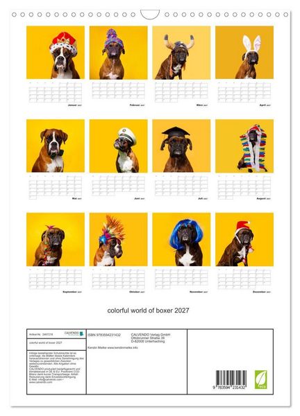 Produktbild: colorful world of boxer 2027 (Wandkalender 2027 DIN A3 hoch), CALVENDO Monatskalender