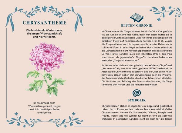 Produktbild: Adventskalender-Kartenset: Bl&uuml;tenwunder