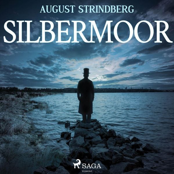 Das Silbermoor (Ungekürzt) - August Strindberg, Audio, 9788711839126