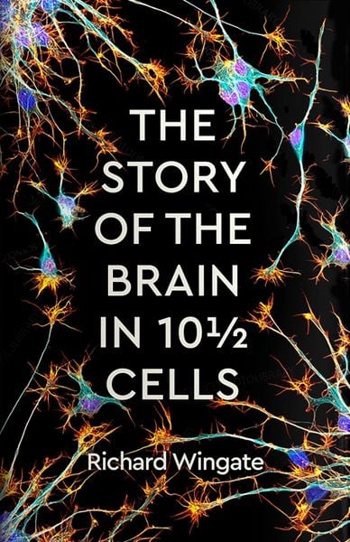 Produktbild: The Story of the Brain in 10&frac12; Cells