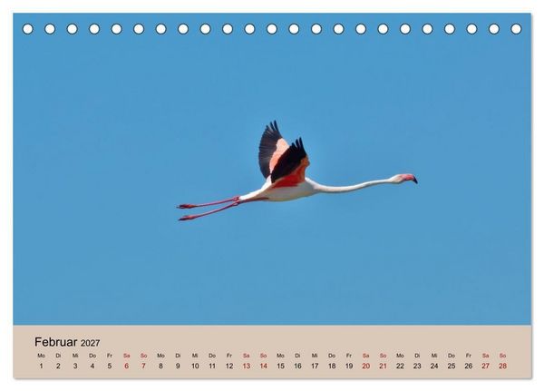 Produktbild: Flamingo und Co - Faszinierende Vogelwelt S&uuml;dfrankreichs (Tischkalender 2027 DIN A5 quer), CALVENDO Monatskalender