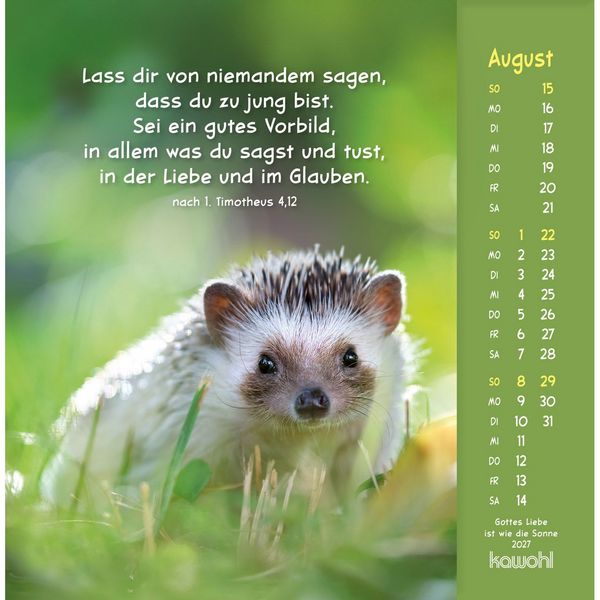 Produktbild: Gottes Liebe ist wie die Sonne 2027