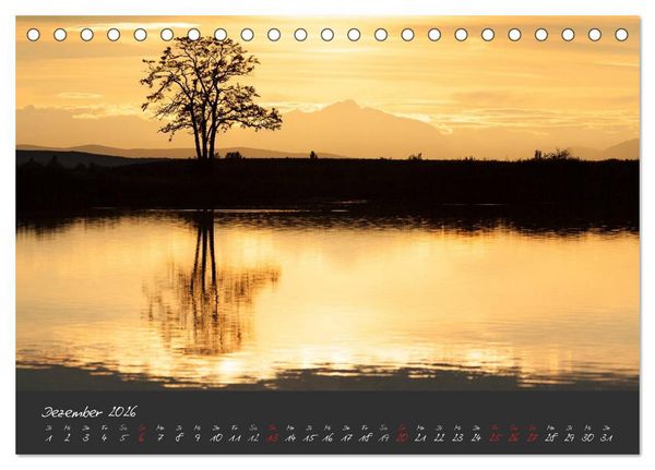 Produktbild: Natur erleben Seewinkel-Neusiedlersee (Tischkalender 2026 DIN A5 quer), CALVENDO Monatskalender