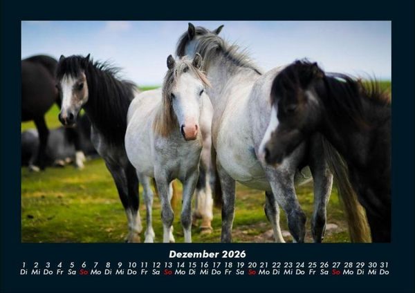 Produktbild: Pferdegefl&uuml;ster 2026 Fotokalender DIN A4