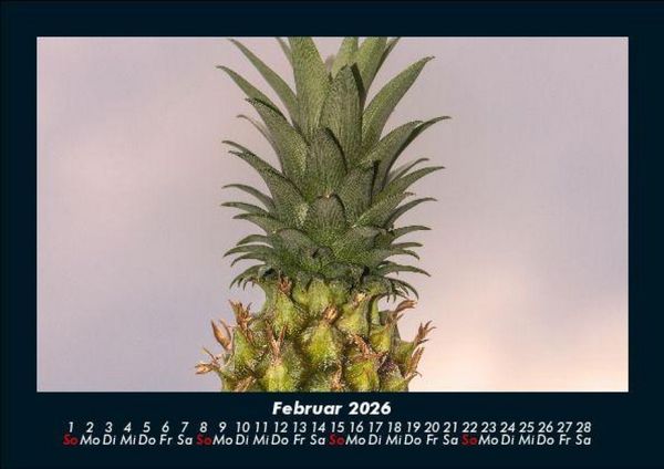 Produktbild: Obstkalender 2026 Fotokalender DIN A5